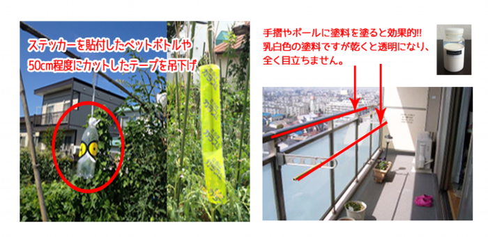 ベランダや家庭菜園のカラス対策はテープやステッカーがオススメ！等間隔に吊り下げる事で効果を発揮します