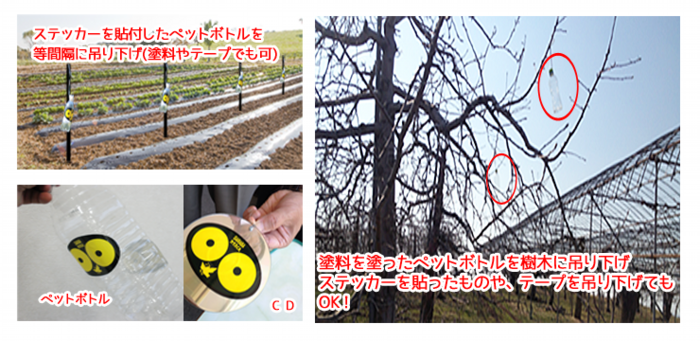 テープを吊下げたり、ステッカーや塗料で加工したペットボトルを吊下げるとカラス撃退効果を発揮します