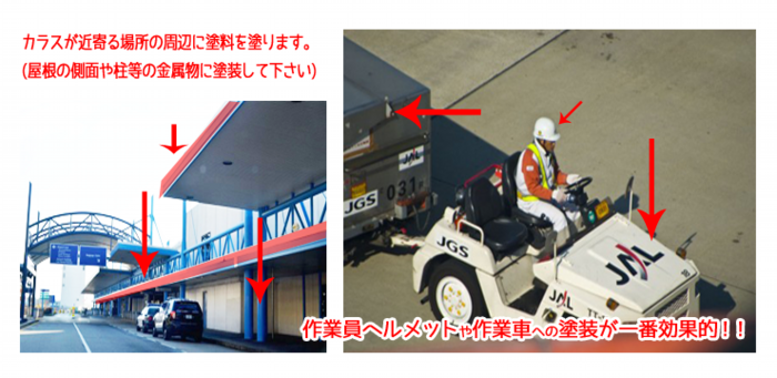 カラス対策塗料バードコレンジャーでバードストライク事故を守る！