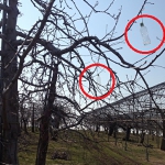 塗装したペットボトルを吊下げ