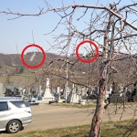 塗装したペットボトルを吊下げ