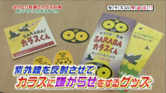 様々なタイプの製品をご用意しています