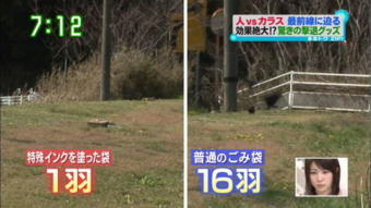 実験でも圧倒的な忌避効果を確認