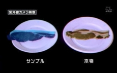 紫外線カメラで撮影