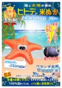 ヒトデ米ぬか活力剤「392」