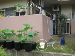 ベランダを荒らすカラスを撃退