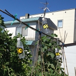 ペットボトルにステッカーを貼り付け、吊下げ