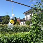 ペットボトルにステッカーを貼り付け、吊下げ