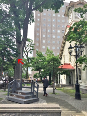 札幌市時計台のカラス対策